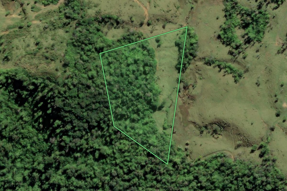 Imagem de satélite do imóvel rural em Barra do Turvo (SP), com o contorno declarado no CAR desenhado por cima.