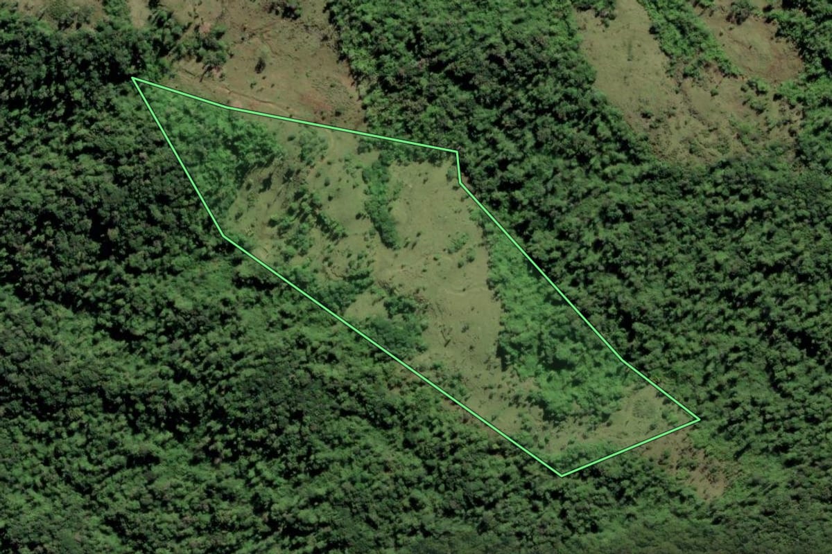 Imagem de satélite do imóvel rural em Barra do Turvo (SP), com o contorno declarado no CAR desenhado por cima.