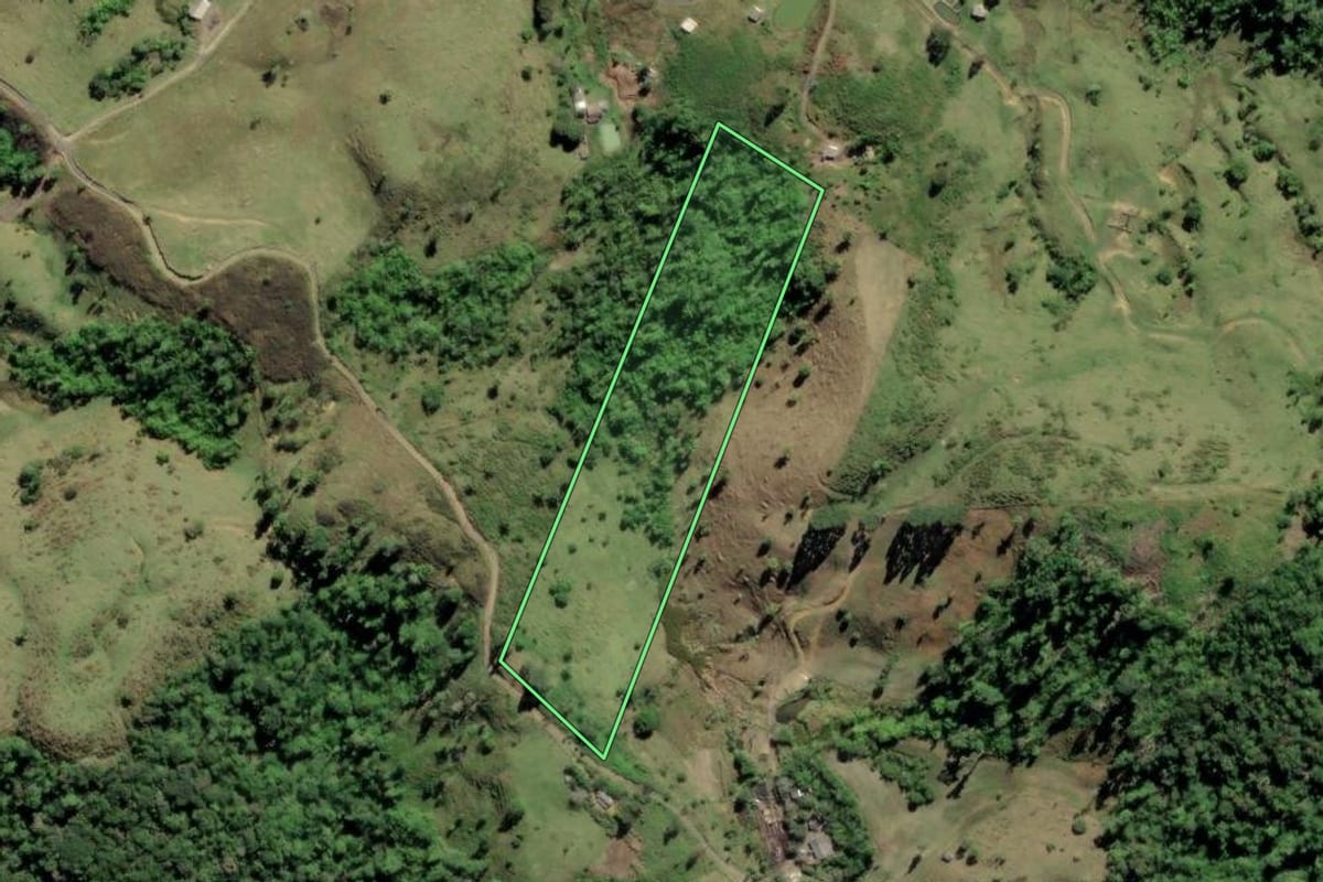 Imagem de satélite do imóvel rural em Barra do Turvo (SP), com o contorno declarado no CAR desenhado por cima.