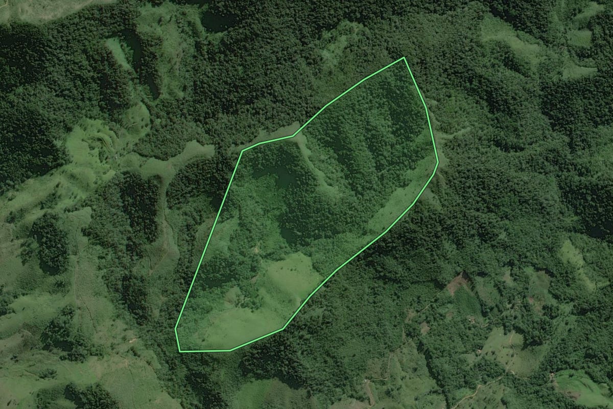 Imagem de satélite do imóvel rural em Barra do Turvo (SP), com o contorno declarado no CAR desenhado por cima.
