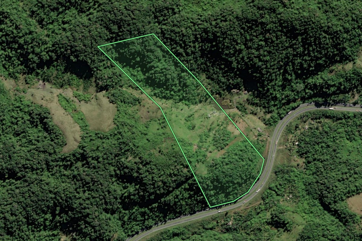 Imagem de satélite do imóvel rural em Barra do Turvo (SP), com o contorno declarado no CAR desenhado por cima.