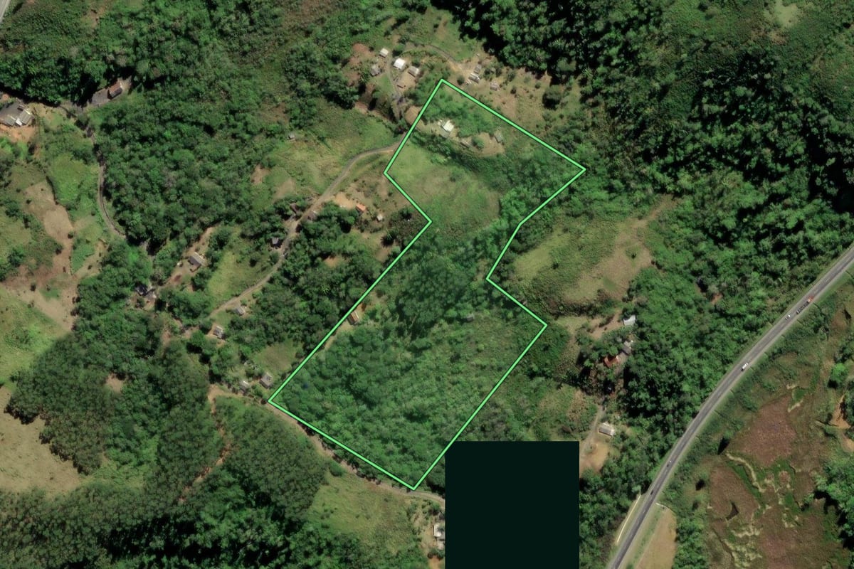 Imagem de satélite do imóvel rural em Barra do Turvo (SP), com o contorno declarado no CAR desenhado por cima.