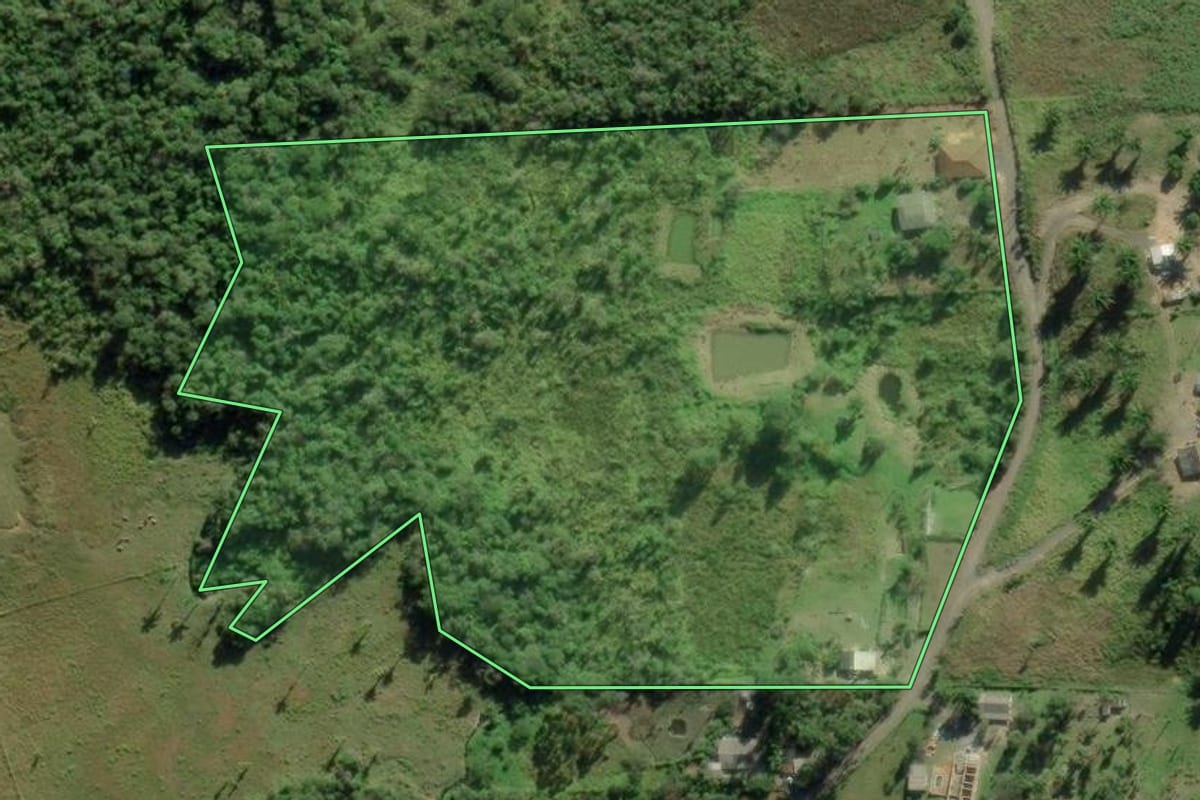 Imagem de satélite do imóvel rural em Barra do Turvo (SP), com o contorno declarado no CAR desenhado por cima.