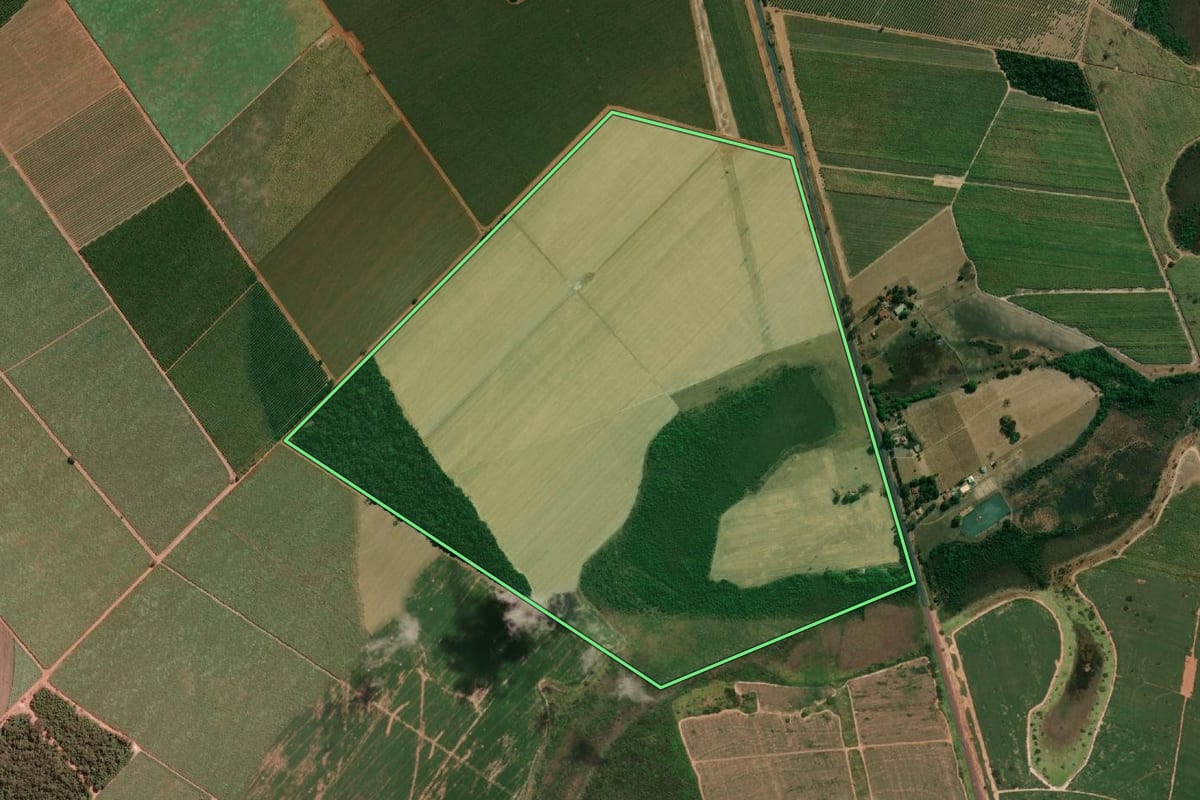 Imagem de satélite do imóvel rural em Barretos (SP), com o contorno declarado no CAR desenhado por cima.