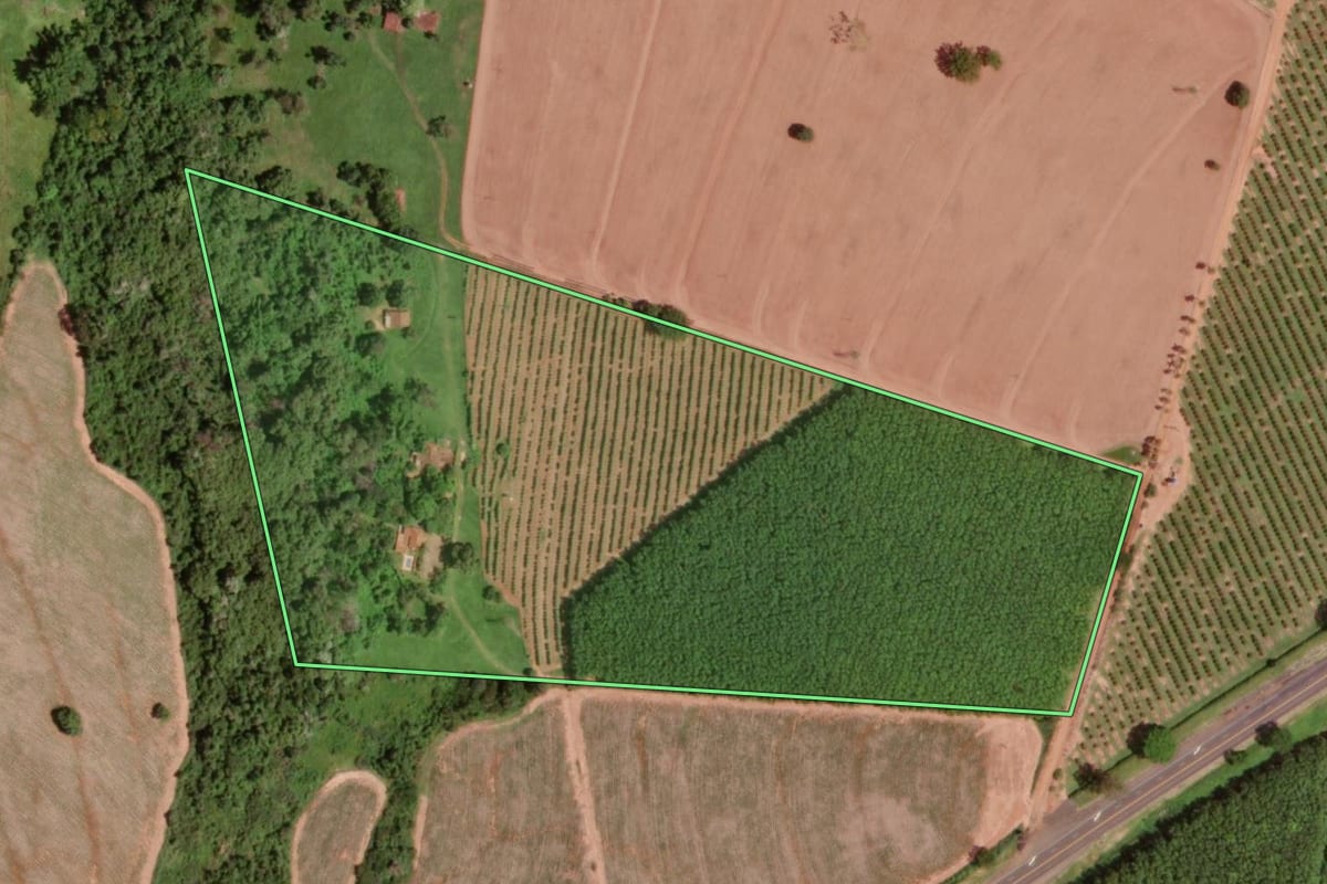 Imagem de satélite do imóvel rural em Barretos (SP), com o contorno declarado no CAR desenhado por cima.
