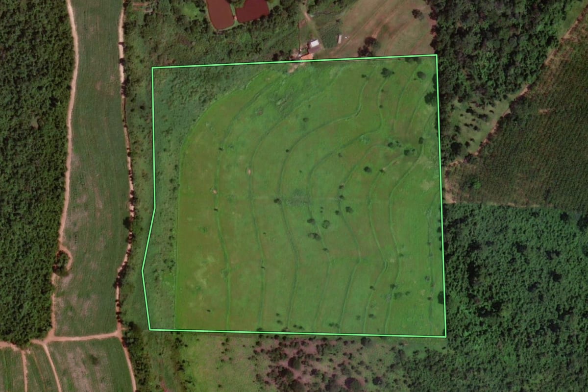 Imagem de satélite do imóvel rural em Barretos (SP), com o contorno declarado no CAR desenhado por cima.
