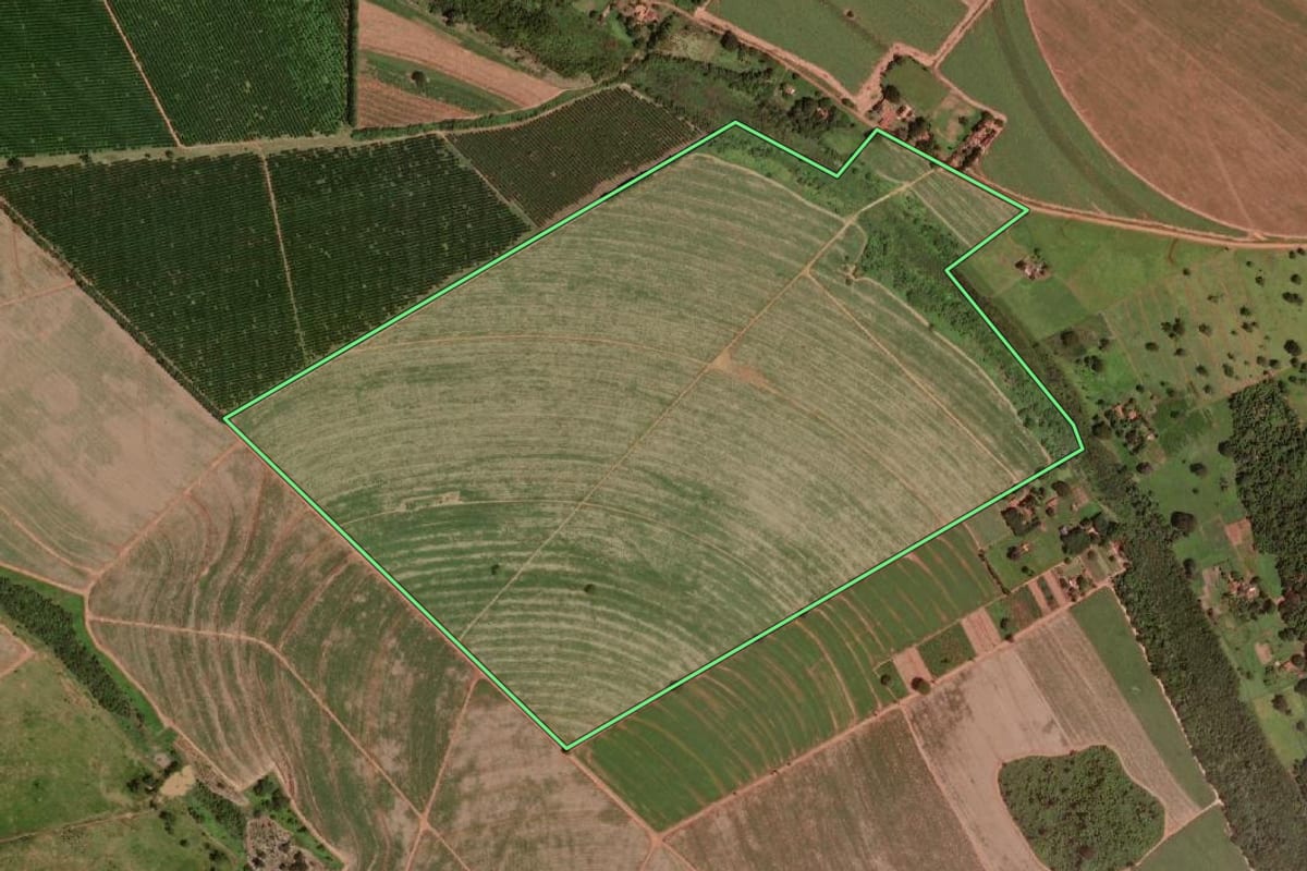 Imagem de satélite do imóvel rural em Barretos (SP), com o contorno declarado no CAR desenhado por cima.