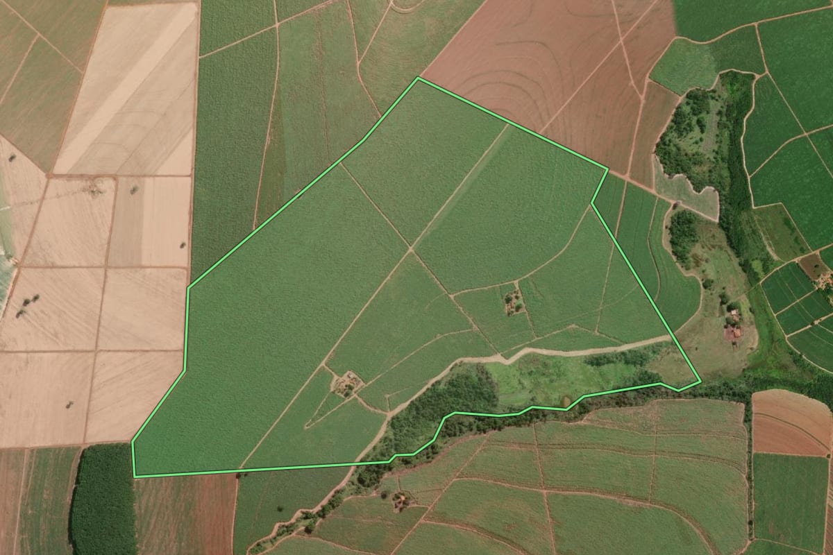 Imagem de satélite do imóvel rural em Barretos (SP), com o contorno declarado no CAR desenhado por cima.