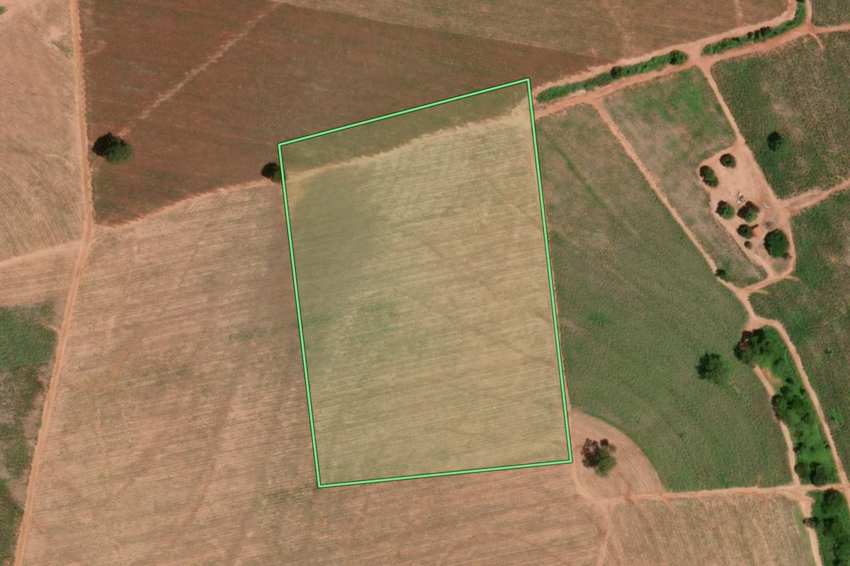 Imagem de satélite do imóvel rural em Barretos (SP), com o contorno declarado no CAR desenhado por cima.