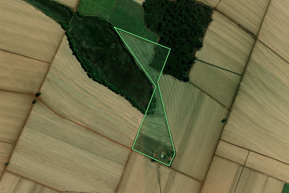 Imagem de satélite do imóvel rural em Barretos (SP), com o contorno declarado no CAR desenhado por cima.