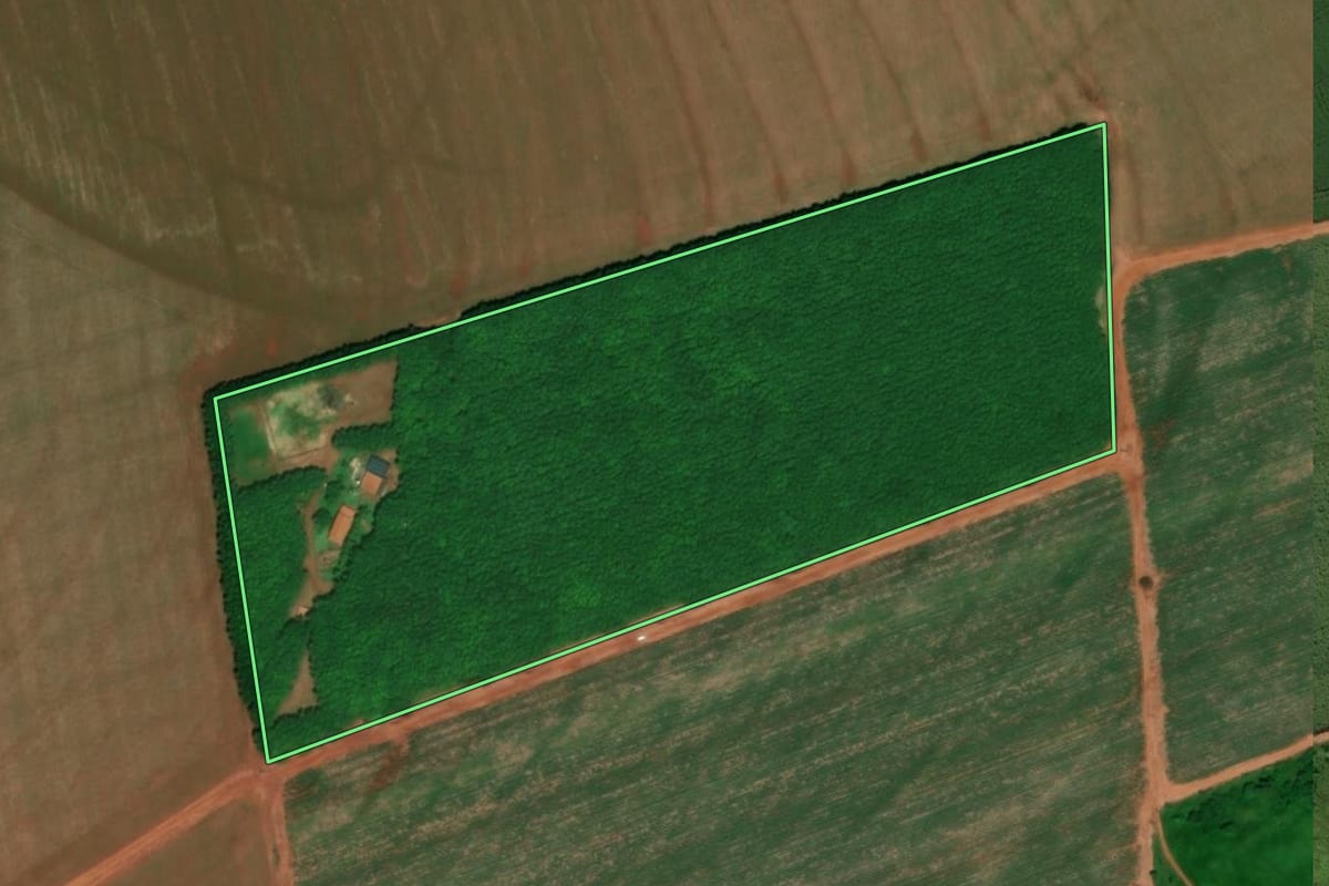 Imagem de satélite do imóvel rural em Barretos (SP), com o contorno declarado no CAR desenhado por cima.
