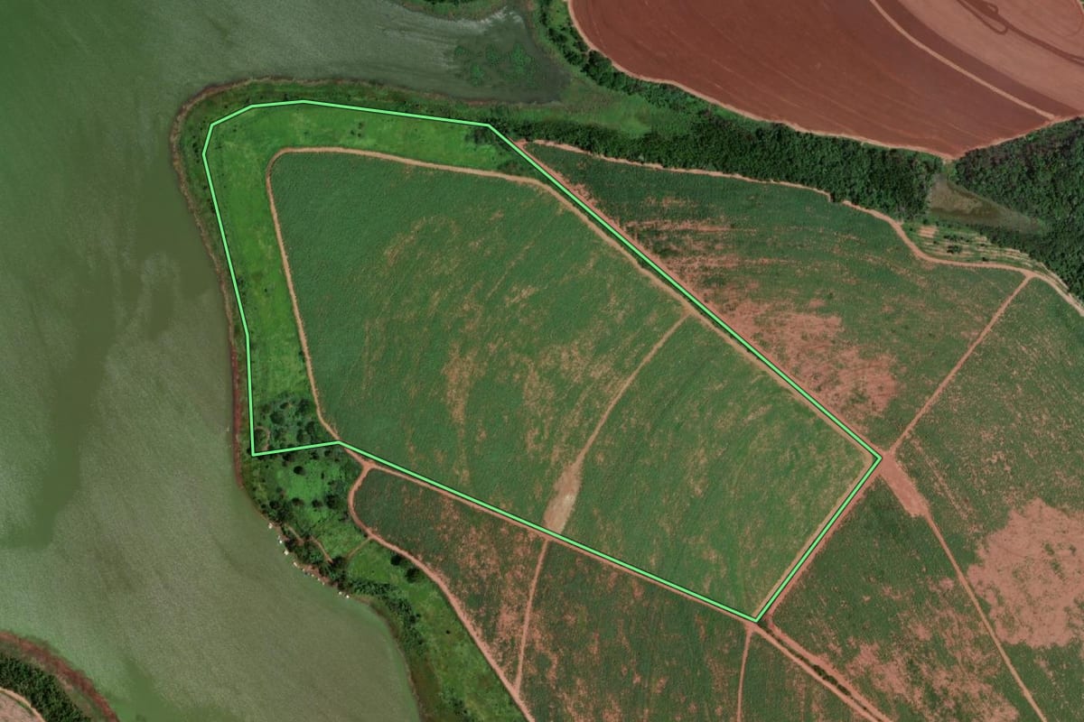 Imagem de satélite do imóvel rural em Barretos (SP), com o contorno declarado no CAR desenhado por cima.