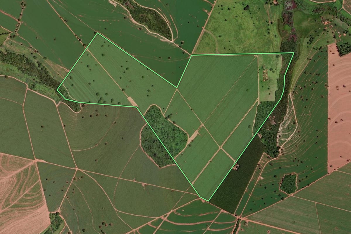 Imagem de satélite do imóvel rural em Barretos (SP), com o contorno declarado no CAR desenhado por cima.
