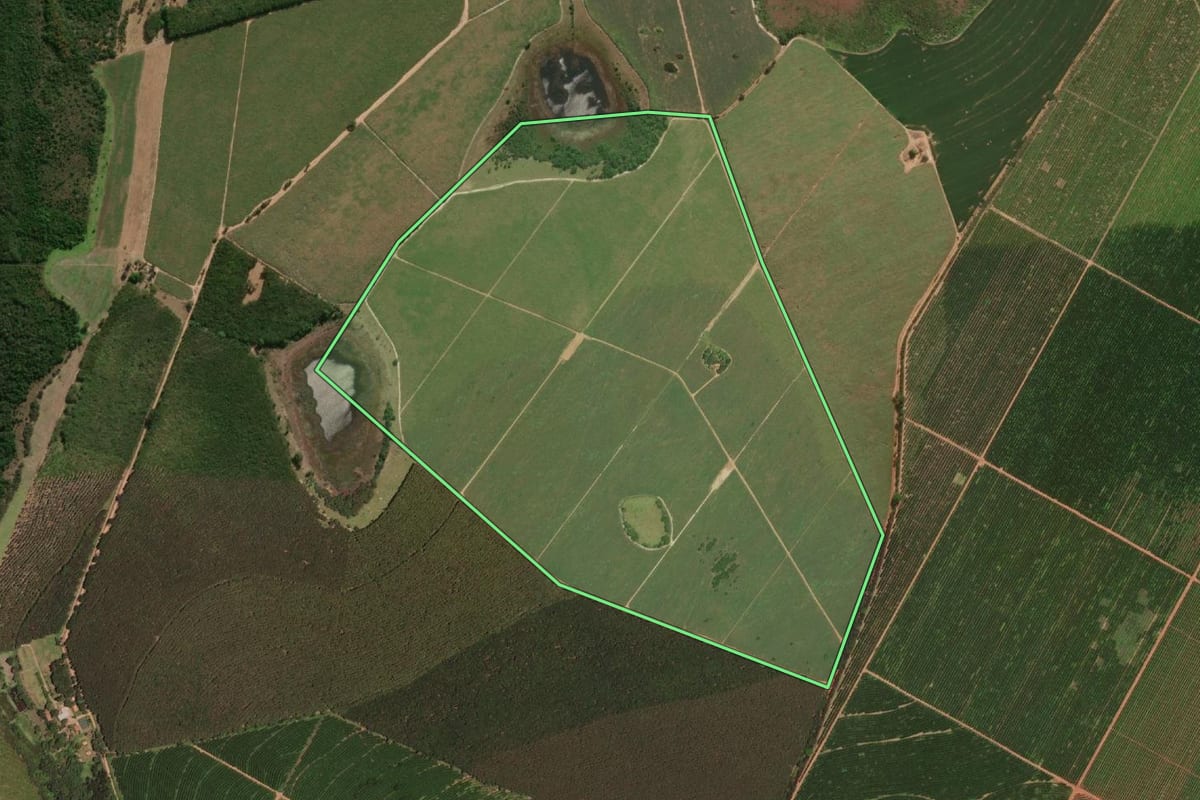 Imagem de satélite do imóvel rural em Barretos (SP), com o contorno declarado no CAR desenhado por cima.