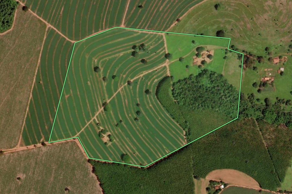 Imagem de satélite do imóvel rural em Barretos (SP), com o contorno declarado no CAR desenhado por cima.
