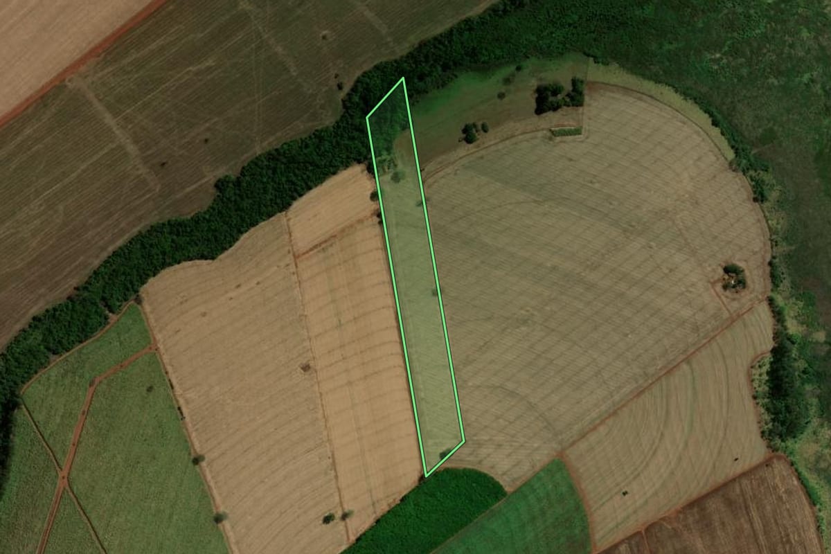 Imagem de satélite do imóvel rural em Barretos (SP), com o contorno declarado no CAR desenhado por cima.