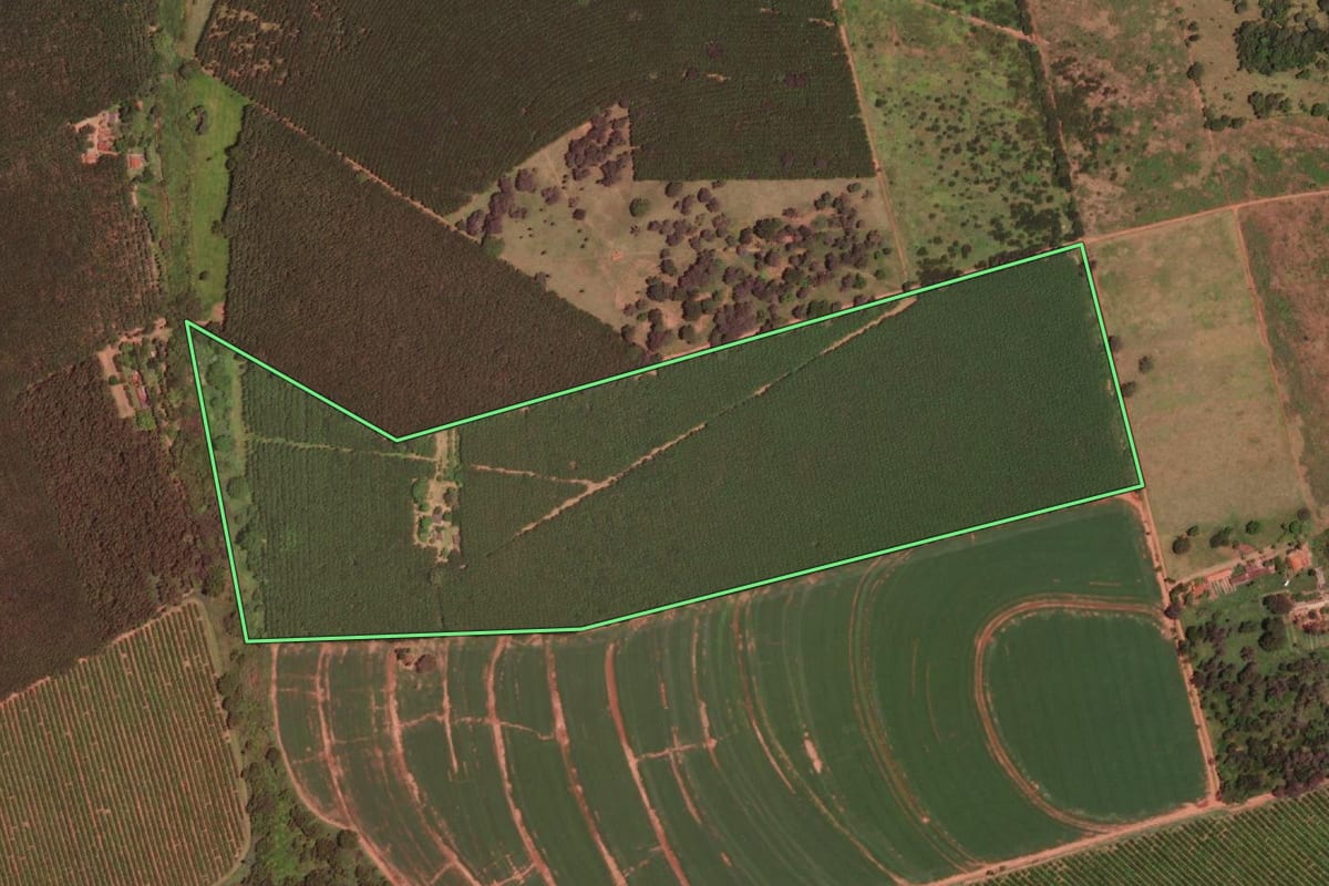 Imagem de satélite do imóvel rural em Barretos (SP), com o contorno declarado no CAR desenhado por cima.