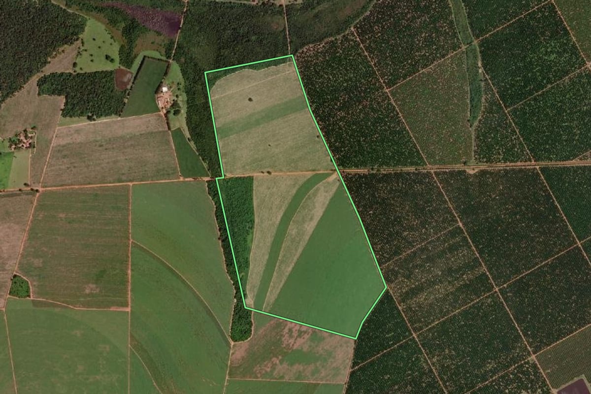 Imagem de satélite do imóvel rural em Barretos (SP), com o contorno declarado no CAR desenhado por cima.