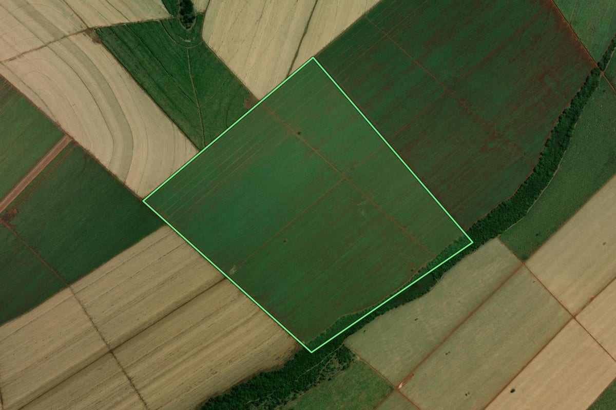 Imagem de satélite do imóvel rural em Barretos (SP), com o contorno declarado no CAR desenhado por cima.