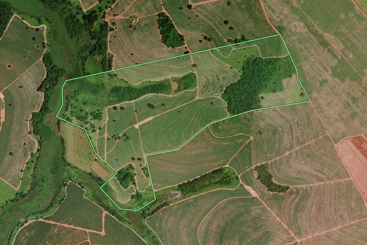 Imagem de satélite do imóvel rural em Barretos (SP), com o contorno declarado no CAR desenhado por cima.