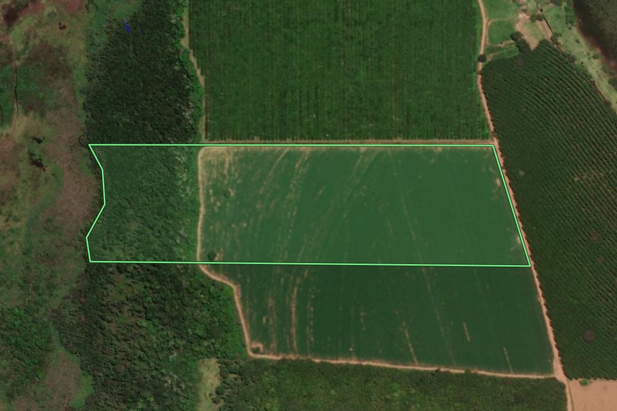 Imagem de satélite do imóvel rural em Barretos (SP), com o contorno declarado no CAR desenhado por cima.