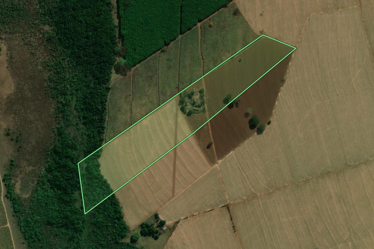 Imagem de satélite do imóvel rural em Barretos (SP), com o contorno declarado no CAR desenhado por cima.
