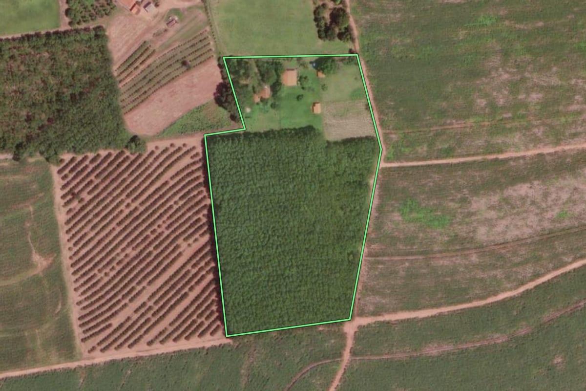 Imagem de satélite do imóvel rural em Barretos (SP), com o contorno declarado no CAR desenhado por cima.