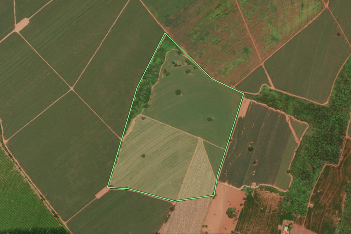 Imagem de satélite do imóvel rural em Barretos (SP), com o contorno declarado no CAR desenhado por cima.