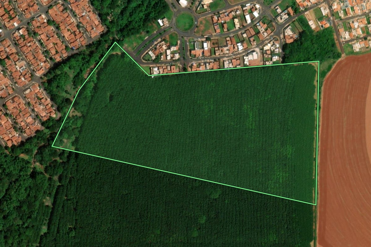 Imagem de satélite do imóvel rural em Barretos (SP), com o contorno declarado no CAR desenhado por cima.