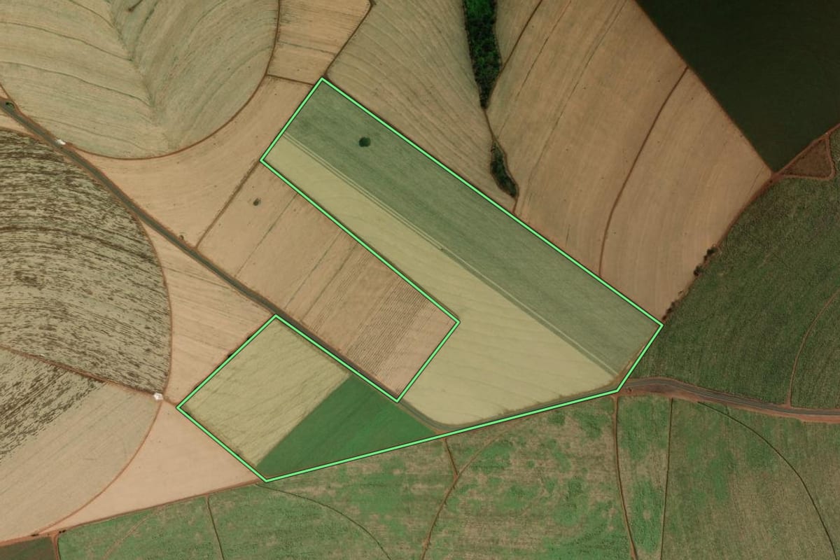 Imagem de satélite do imóvel rural em Barretos (SP), com o contorno declarado no CAR desenhado por cima.