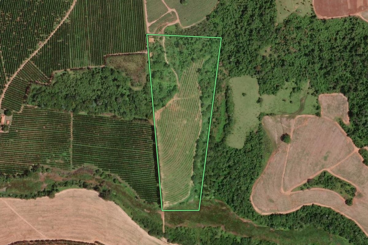 Imagem de satélite do imóvel rural em Barretos (SP), com o contorno declarado no CAR desenhado por cima.