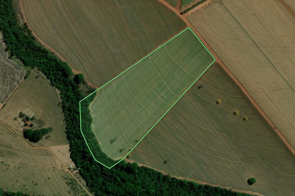 Imagem de satélite do imóvel rural em Barretos (SP), com o contorno declarado no CAR desenhado por cima.