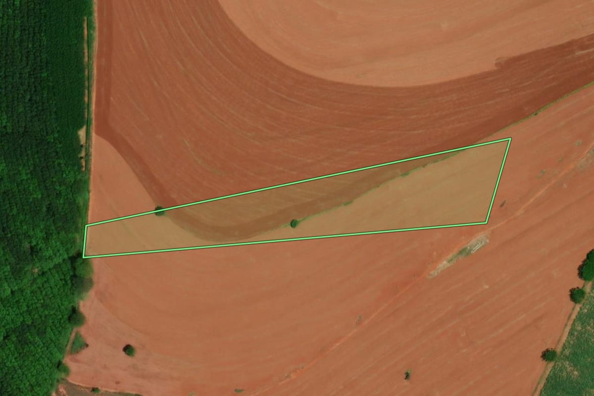 Imagem de satélite do imóvel rural em Barretos (SP), com o contorno declarado no CAR desenhado por cima.