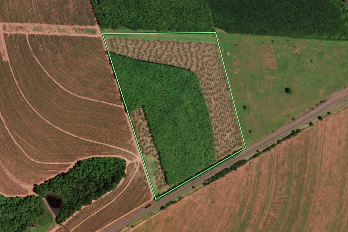 Imagem de satélite do imóvel rural em Barretos (SP), com o contorno declarado no CAR desenhado por cima.