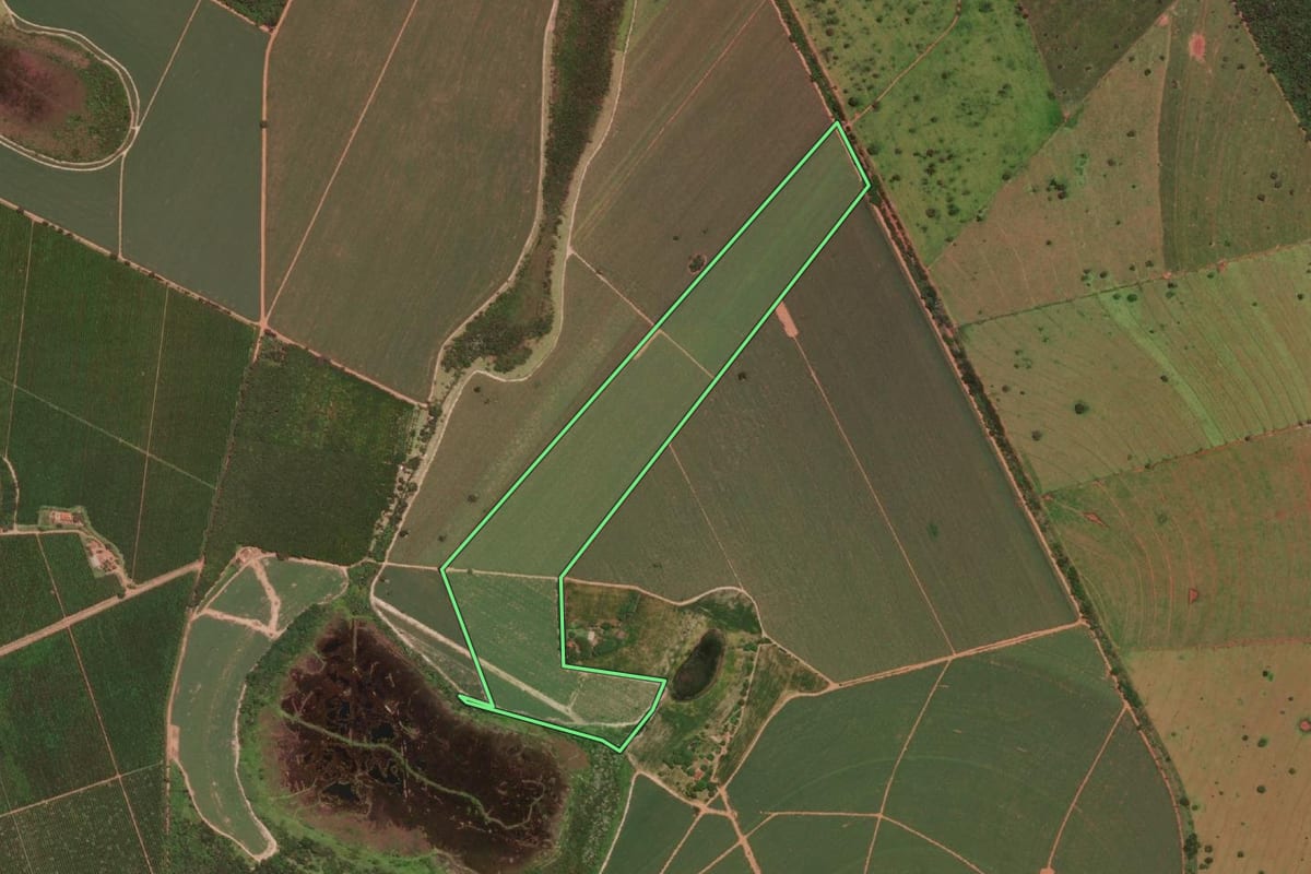 Imagem de satélite do imóvel rural em Barretos (SP), com o contorno declarado no CAR desenhado por cima.