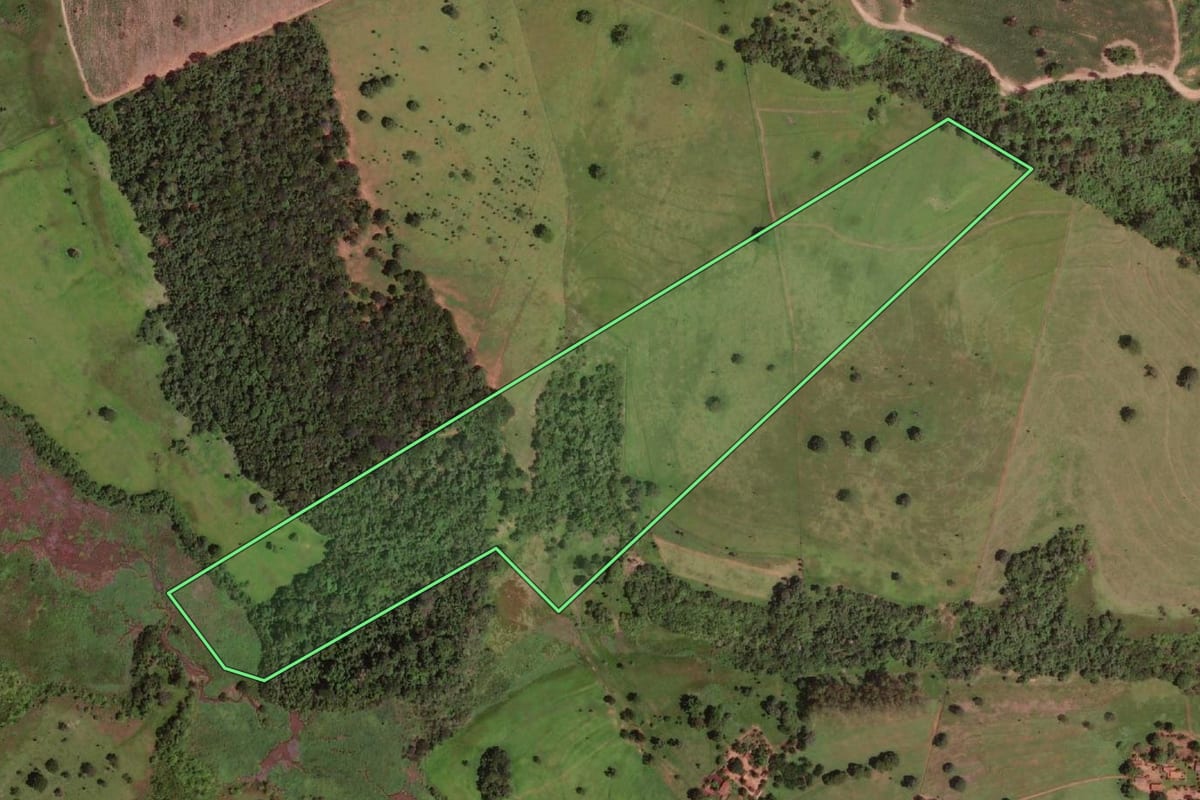 Imagem de satélite do imóvel rural em Barretos (SP), com o contorno declarado no CAR desenhado por cima.