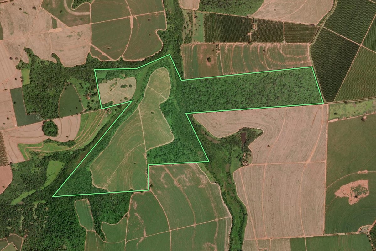 Imagem de satélite do imóvel rural em Barretos (SP), com o contorno declarado no CAR desenhado por cima.