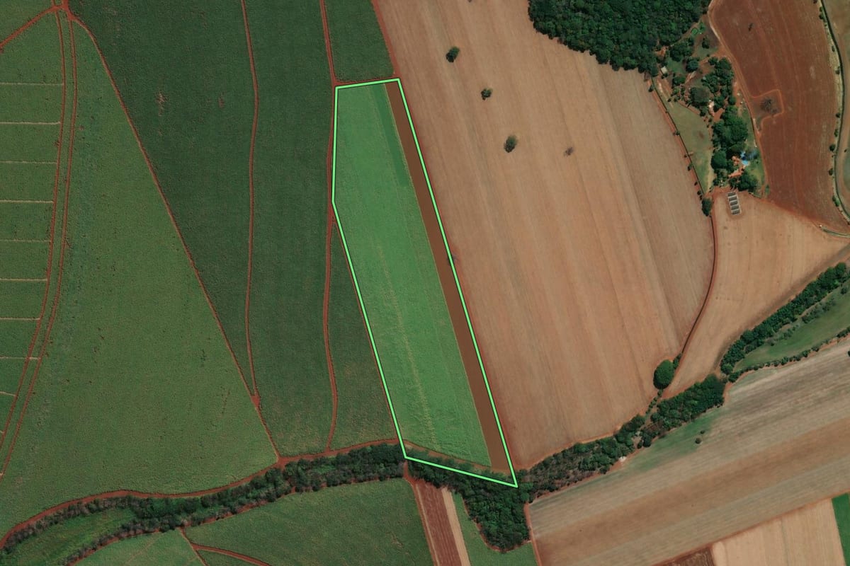 Imagem de satélite do imóvel rural em Barrinha (SP), com o contorno declarado no CAR desenhado por cima.