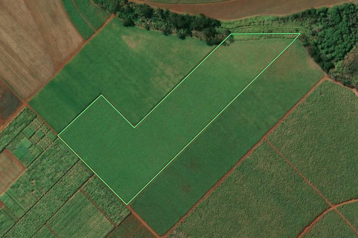 Imagem de satélite do imóvel rural em Barrinha (SP), com o contorno declarado no CAR desenhado por cima.