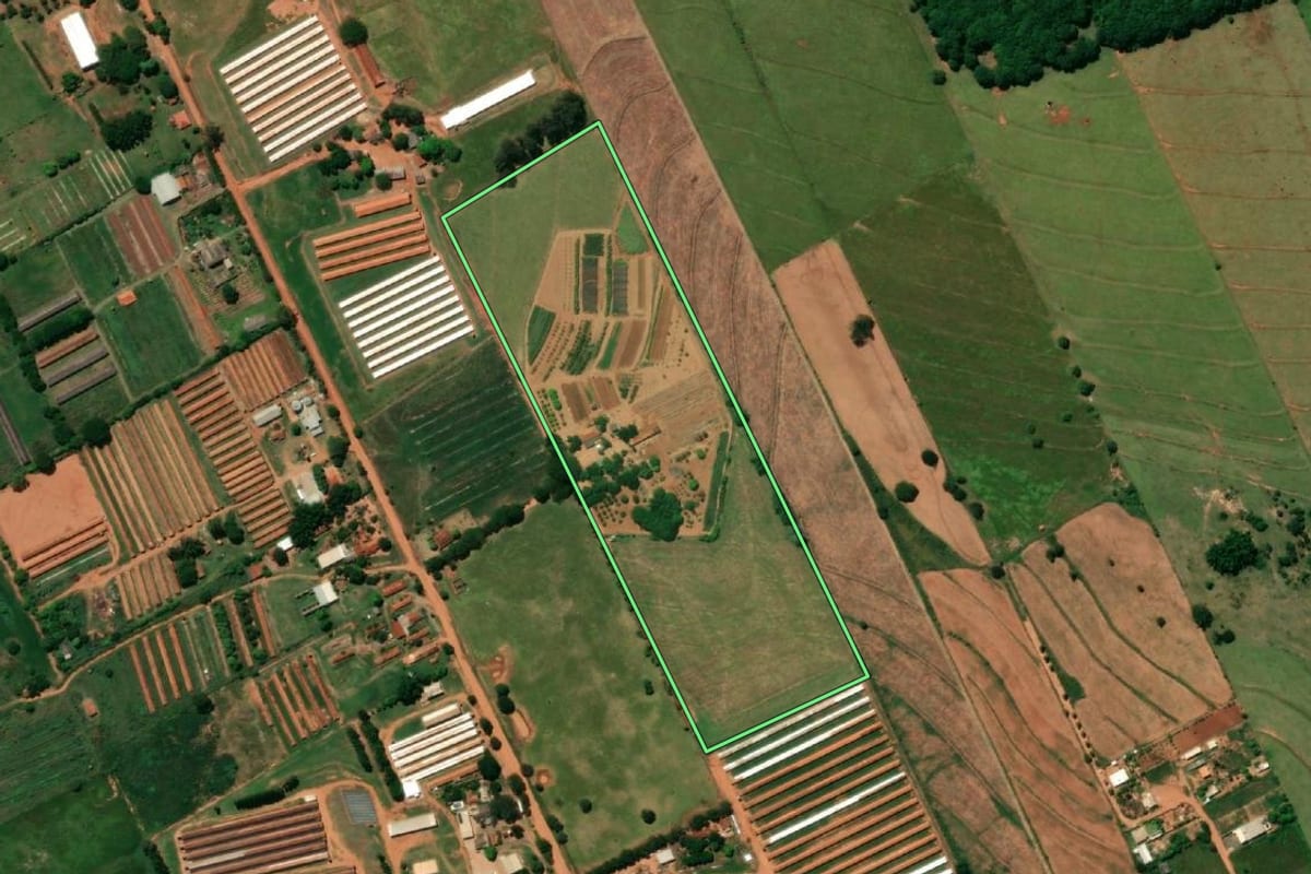 Imagem de satélite do imóvel rural em Bastos (SP), com o contorno declarado no CAR desenhado por cima.