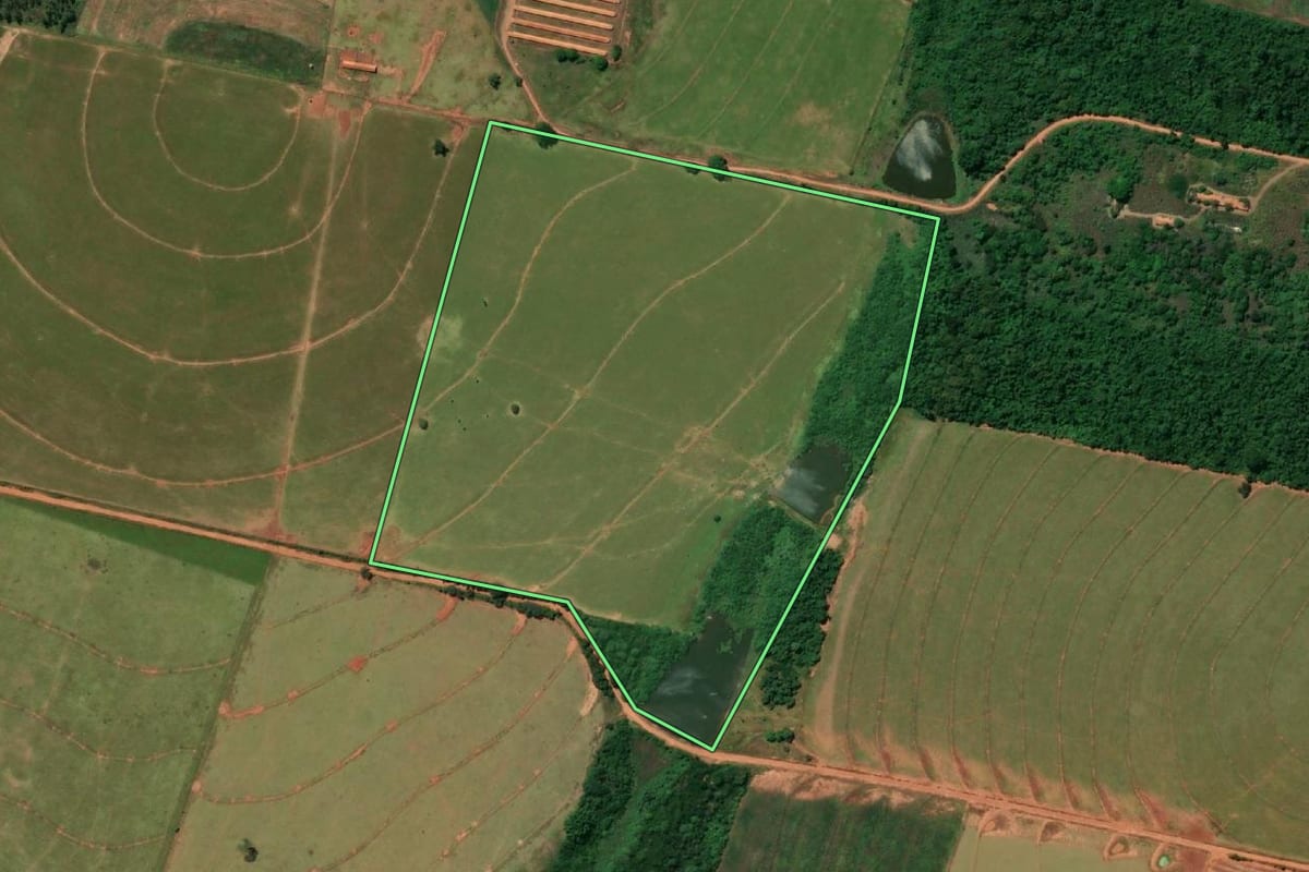 Imagem de satélite do imóvel rural em Bastos (SP), com o contorno declarado no CAR desenhado por cima.