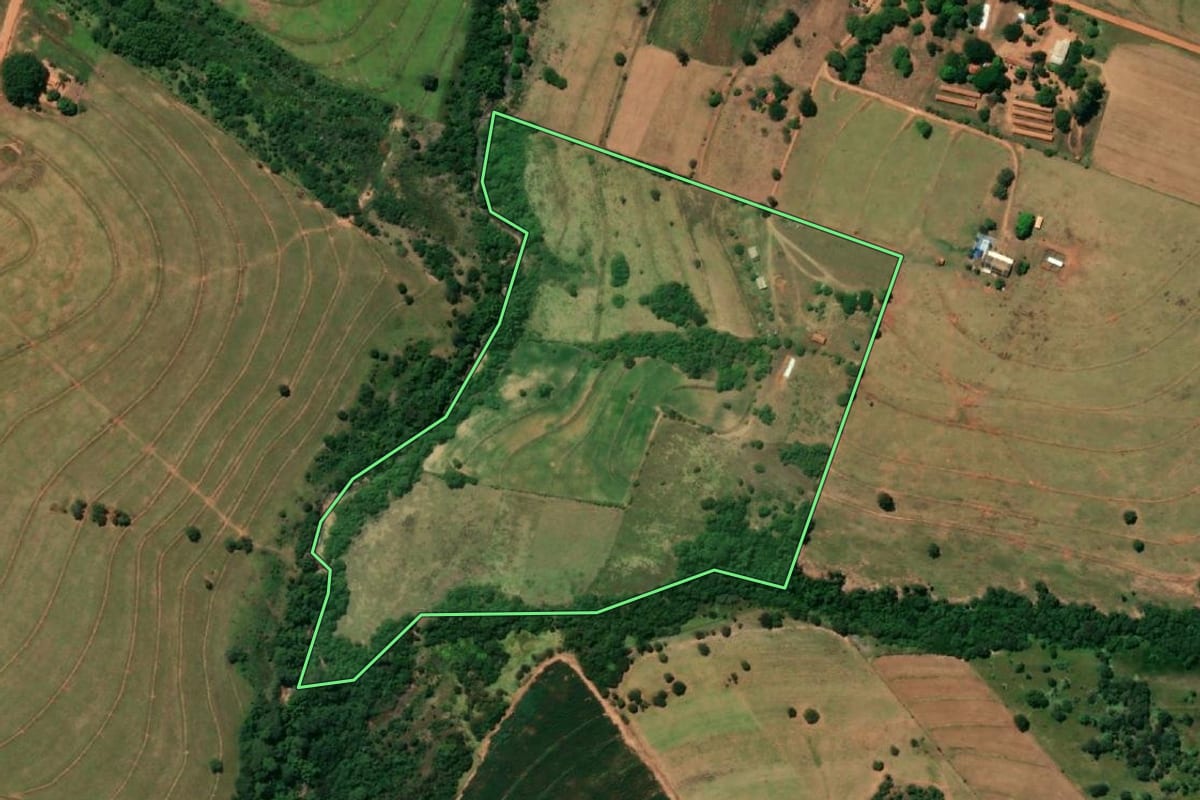 Imagem de satélite do imóvel rural em Bastos (SP), com o contorno declarado no CAR desenhado por cima.