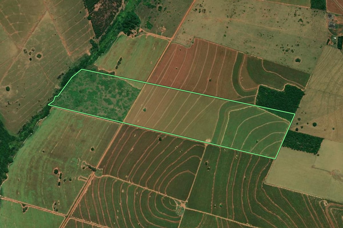 Imagem de satélite do imóvel rural em Bastos (SP), com o contorno declarado no CAR desenhado por cima.