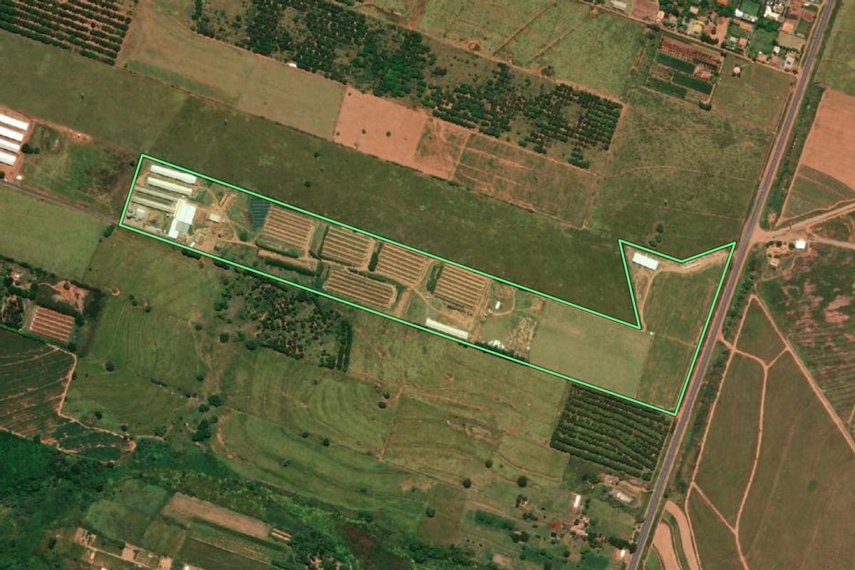 Imagem de satélite do imóvel rural em Bastos (SP), com o contorno declarado no CAR desenhado por cima.