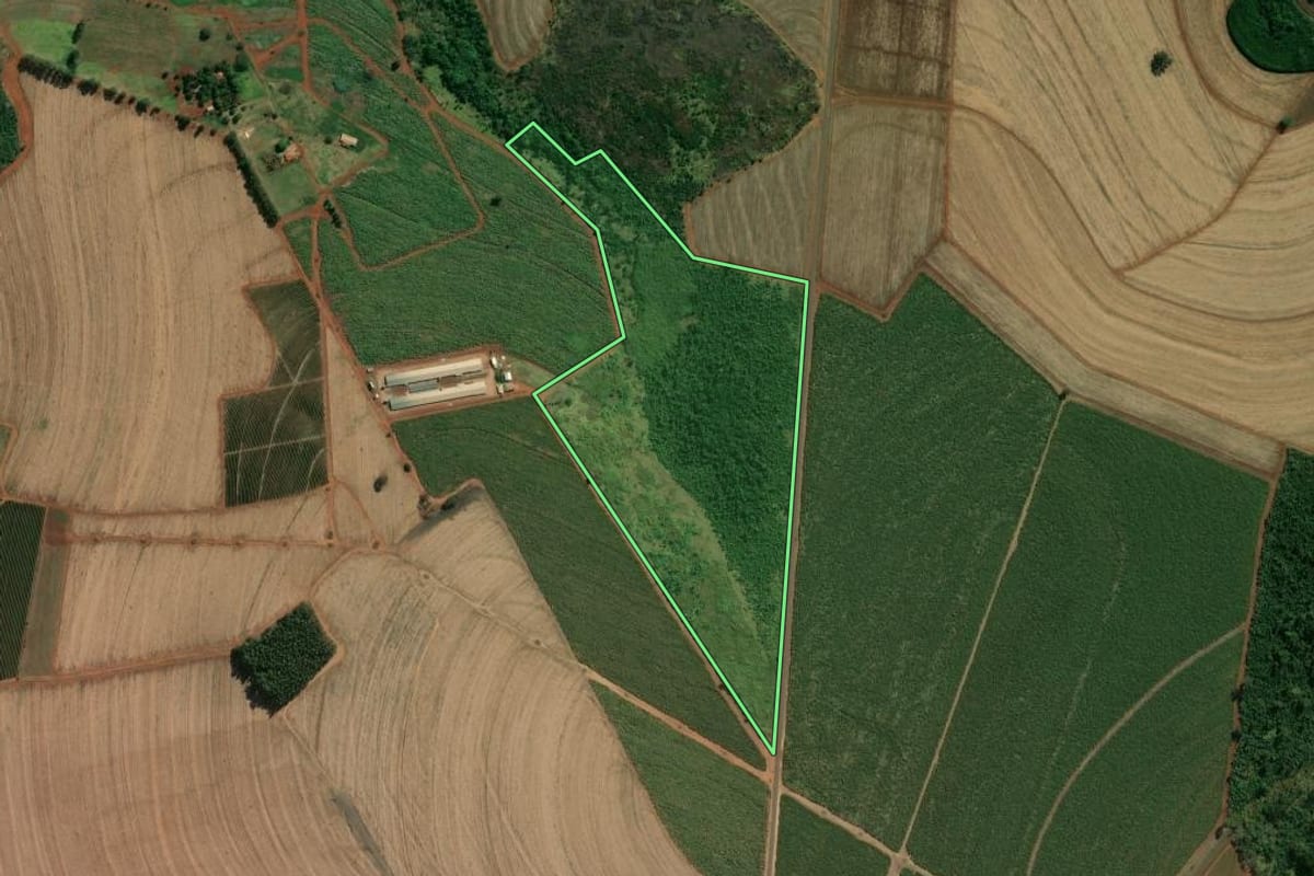Imagem de satélite do imóvel rural em Batatais (SP), com o contorno declarado no CAR desenhado por cima.