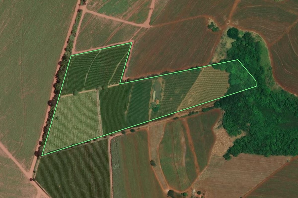 Imagem de satélite do imóvel rural em Batatais (SP), com o contorno declarado no CAR desenhado por cima.