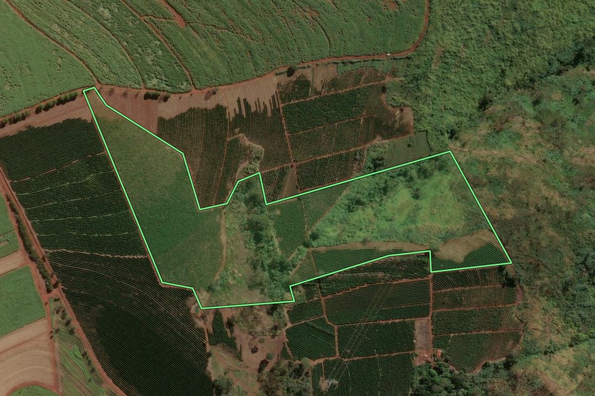 Imagem de satélite do imóvel rural em Batatais (SP), com o contorno declarado no CAR desenhado por cima.