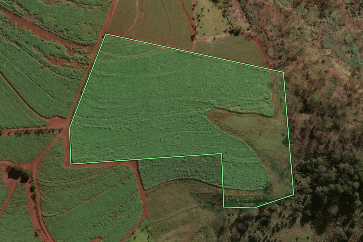 Imagem de satélite do imóvel rural em Batatais (SP), com o contorno declarado no CAR desenhado por cima.