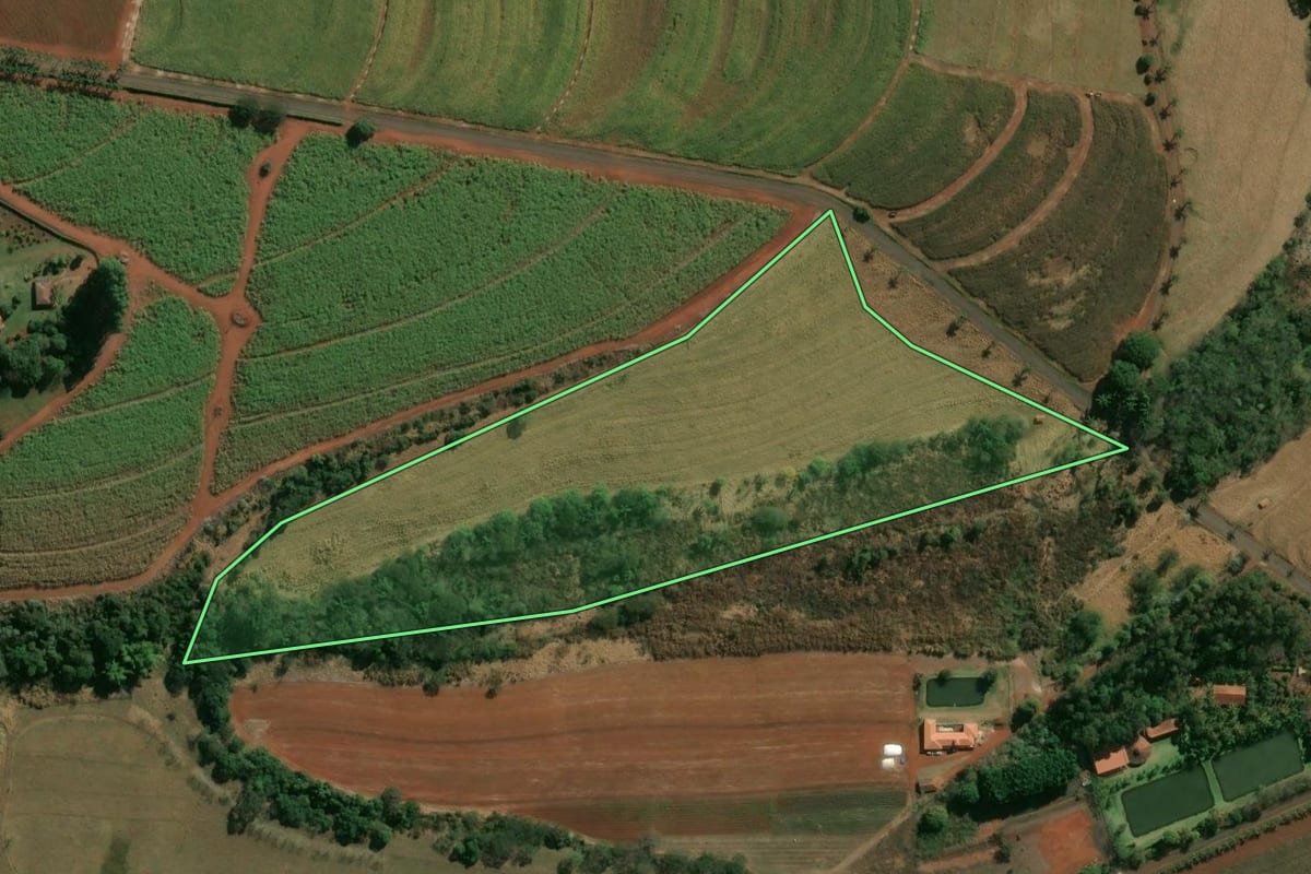 Imagem de satélite do imóvel rural em Batatais (SP), com o contorno declarado no CAR desenhado por cima.