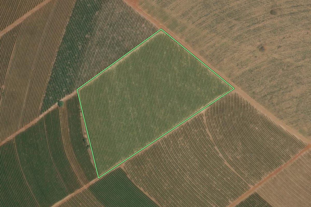 Imagem de satélite do imóvel rural em Batatais (SP), com o contorno declarado no CAR desenhado por cima.